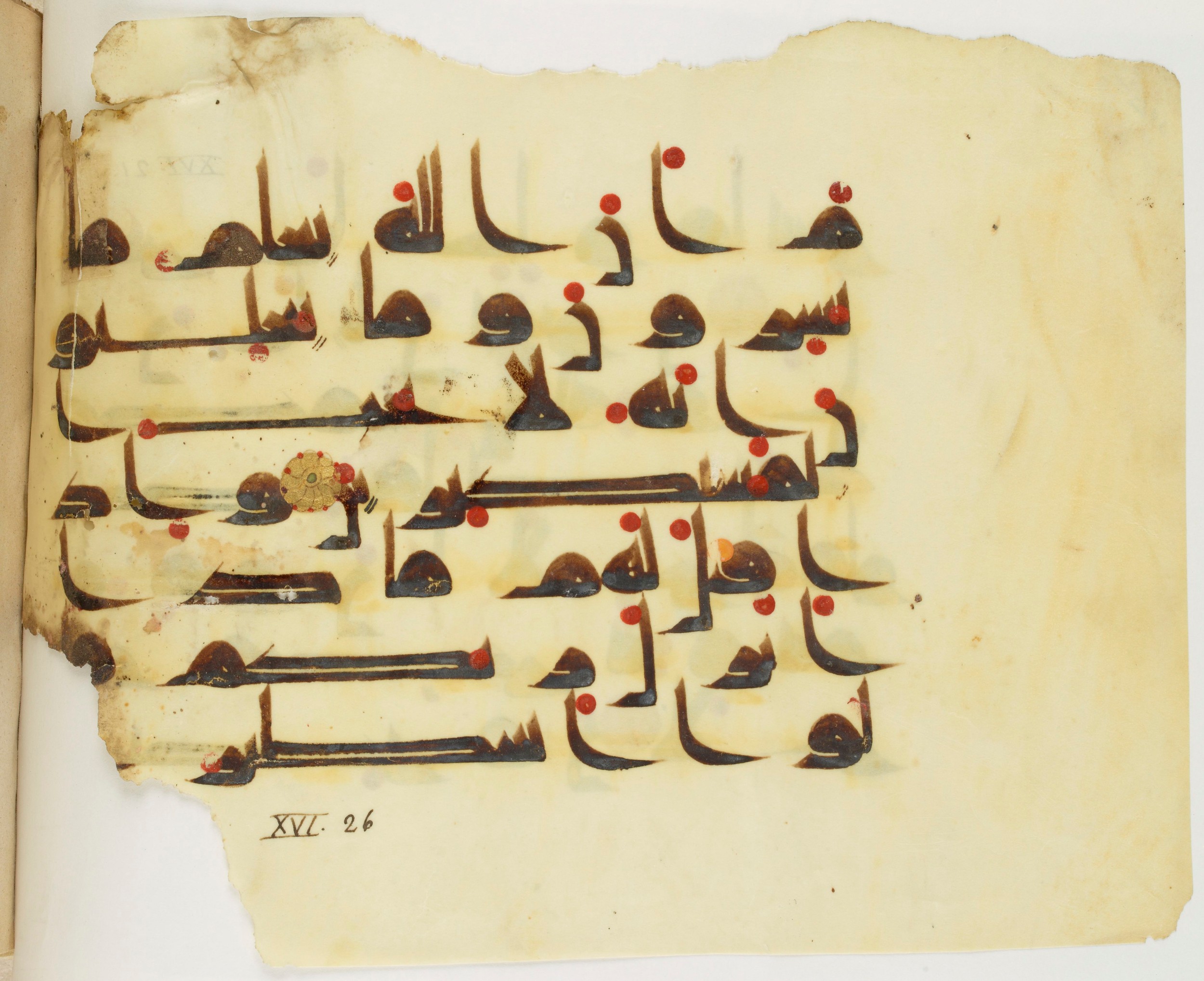 Paris, Bibliothèque nationale de France, Arabe 325 (j) (Scan 2), in Kūfī D.III script, showing Surah 16:23 from Mid 8th to Late 9th Century AD found in Fustat (Old Cairo), Egypt, currently housed at Bibliothèque nationale de France, Paris